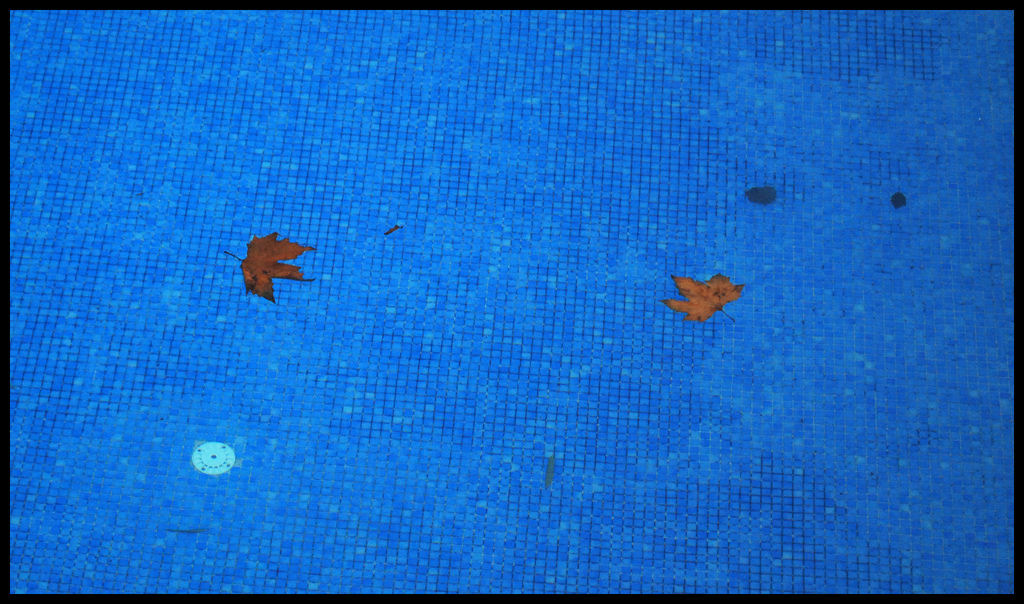piscina en invierno
